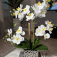 Amelie Silk Phalaenopsis Orchid Arrangement Silver Ceramic Vase