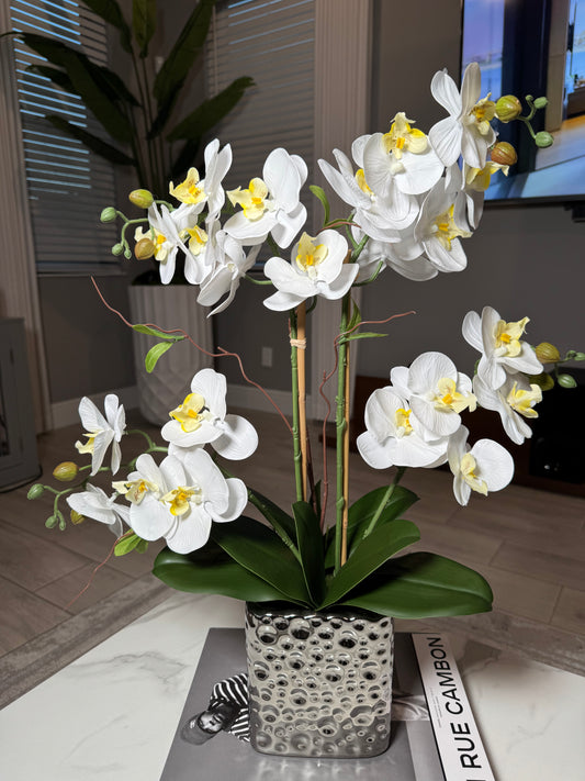 Amelie Silk Phalaenopsis Orchid Arrangement Silver Ceramic Vase