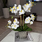 Amelie Silk Phalaenopsis Orchid Arrangement Silver Ceramic Vase