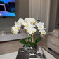 Giulia White Orchid Arrangement in Beveled Silver Ceramic Vase Silk