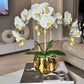 Amira Large Real Touch Phalaenopsis Orchid Floral Arrangement in Round Ribbed Gold Vase