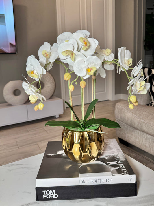 Amira Large Real Touch Phalaenopsis Orchid Floral Arrangement in Round Ribbed Gold Vase