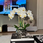 Giulia White Orchid Arrangement in Beveled Silver Ceramic Vase Silk