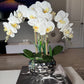 Giulia White Orchid Arrangement in Beveled Silver Ceramic Vase Silk