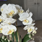 Giulia White Orchid Arrangement in Beveled Silver Ceramic Vase Silk