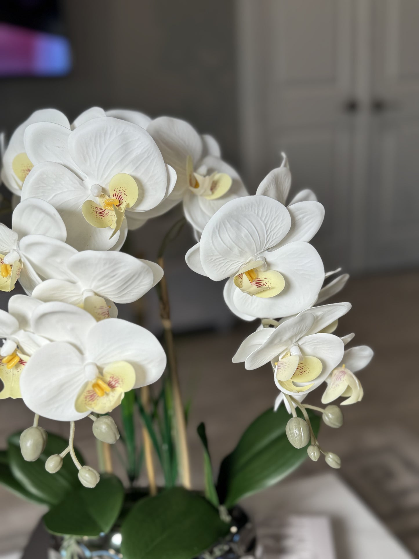 Giulia White Orchid Arrangement in Beveled Silver Ceramic Vase Silk