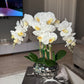 Giulia White Orchid Arrangement in Beveled Silver Ceramic Vase Silk