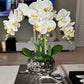 Giulia White Orchid Arrangement in Beveled Silver Ceramic Vase Silk