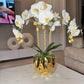 Amira Large Real Touch Phalaenopsis Orchid Floral Arrangement in Round Ribbed Gold Vase