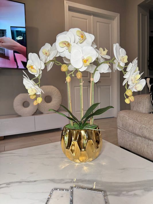 Amira Large Real Touch Phalaenopsis Orchid Floral Arrangement in Round Ribbed Gold Vase