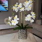 Amelie Silk Phalaenopsis Orchid Arrangement Silver Ceramic Vase