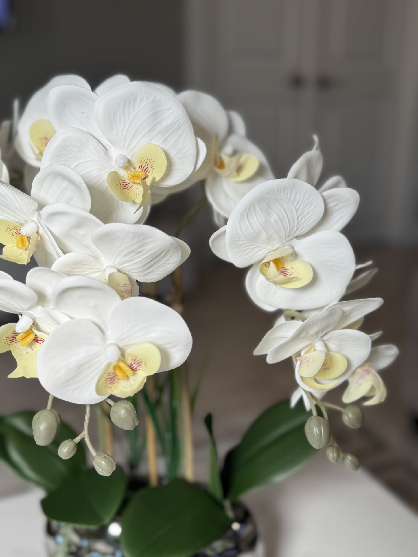 Giulia White Orchid Arrangement in Beveled Silver Ceramic Vase Silk