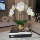 Selina Phalaenopsis Floral White Orchid Arrangement in Gold Ceramic Round Hammered Vase