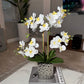 Amelie Silk Phalaenopsis Orchid Arrangement Silver Ceramic Vase