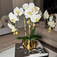 Amira Large Real Touch Phalaenopsis Orchid Floral Arrangement in Round Ribbed Gold Vase