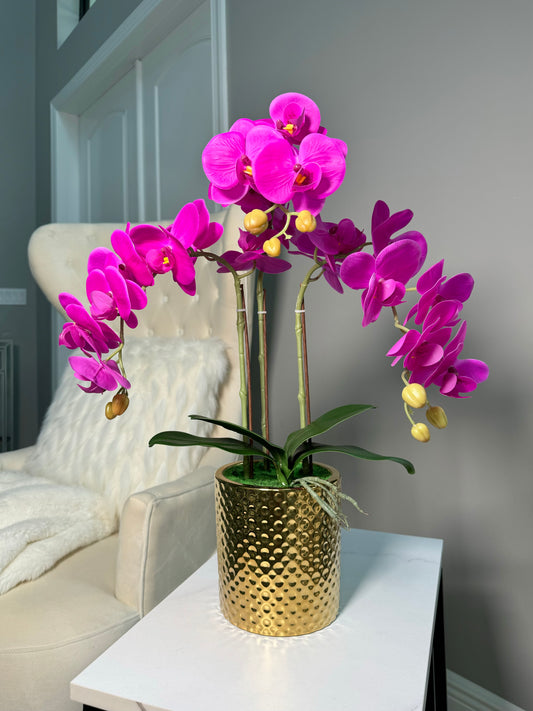 Pink Magenta Phalaenopsis Orchid Floral Arrangement in Gold Vase