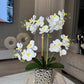 Amelie Silk Phalaenopsis Orchid Arrangement Silver Ceramic Vase