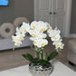 Giulia White Orchid Arrangement in Beveled Silver Ceramic Vase Silk