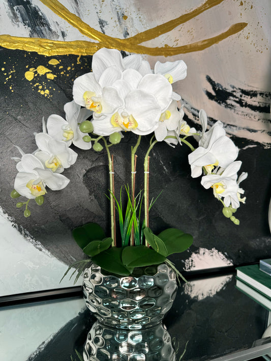 Giulia White Orchid Arrangement in Beveled Silver Ceramic Vase Silk