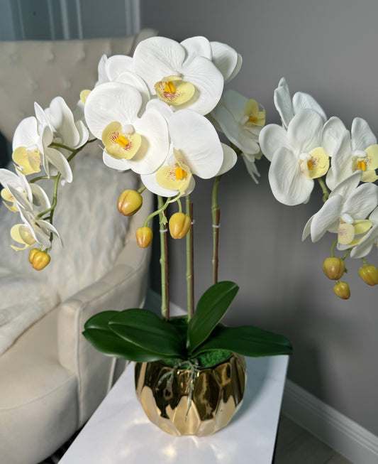 Real Touch Phalaenopsis Orchid Floral Arrangement with Round Ribbed Gold Vase