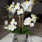 Amelie Silk Phalaenopsis Orchid Arrangement Silver Ceramic Vase