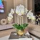 Selina Phalaenopsis Floral White Orchid Arrangement in Gold Ceramic Round Hammered Vase