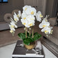 Selina Phalaenopsis Floral White Orchid Arrangement in Gold Ceramic Round Hammered Vase