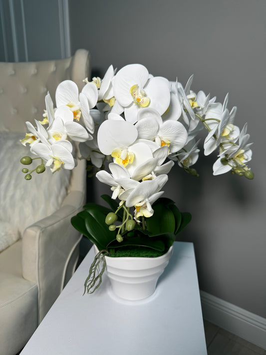 Real Touch Phalaenopsis Orchid Floral Arrangement with White Vase