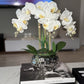 Giulia White Orchid Arrangement in Beveled Silver Ceramic Vase Silk