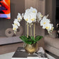 Selina Phalaenopsis Floral White Orchid Arrangement in Gold Ceramic Round Hammered Vase