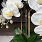 Selina Phalaenopsis Floral White Orchid Arrangement in Gold Ceramic Round Hammered Vase