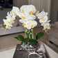 Giulia White Orchid Arrangement in Beveled Silver Ceramic Vase Silk