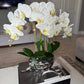 Giulia White Orchid Arrangement in Beveled Silver Ceramic Vase Silk