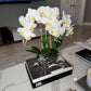 Giulia White Orchid Arrangement in Beveled Silver Ceramic Vase Silk