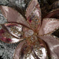 Elegant Rose Gold  Poinsettia with Crystals and Glitter 12'' Set of 3