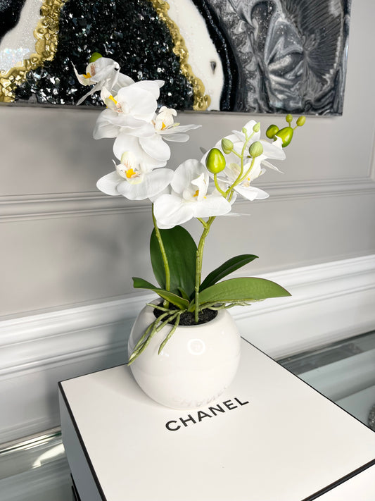 Luxury Coffee Table Decor Books – Totally Glam Home Decor