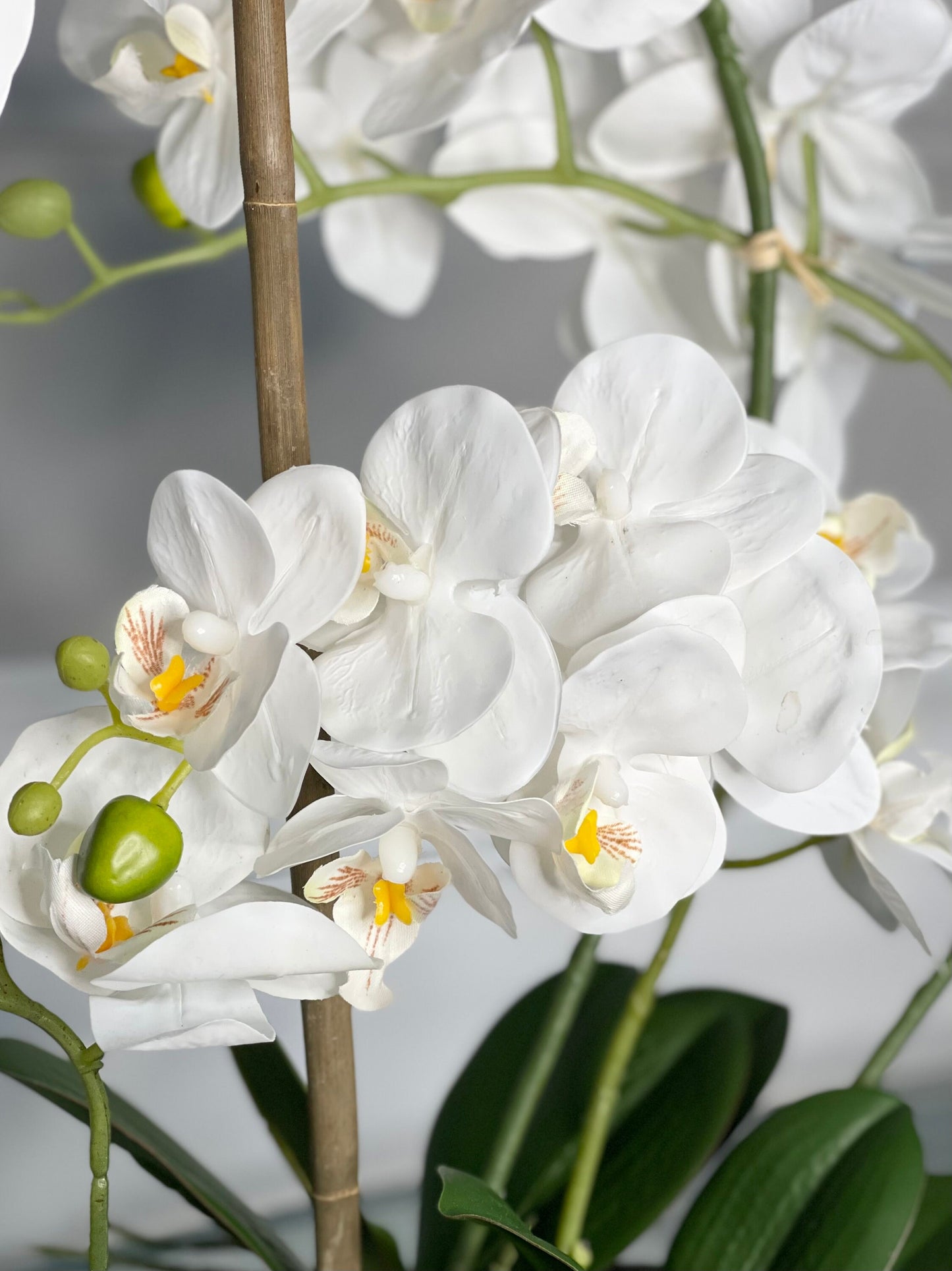 Real Touch White Phalaenopsis Orchid Arrangement with Black Vase